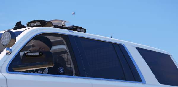 DOJRP-LSPD-PA-3.png