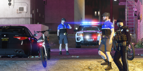 DOJRP-LSPD-PA-3.png