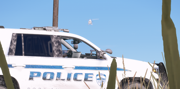 DOJRP-LSPD-PA-4.png