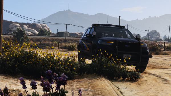 FiveM_b2699_GTAProcess 2022-08-08 04-30-52.png