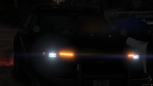 FiveM_b2699_GTAProcess 2022-08-08 04-58-01.png