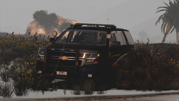 FiveM_b2699_GTAProcess 2022-08-07 06-50-01.png