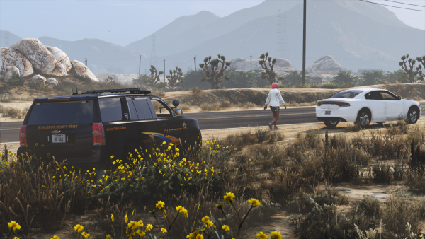 FiveM_b2699_GTAProcess_2022-08-07_06-52-21.png