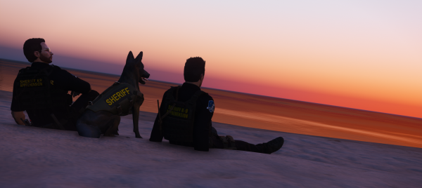 K9 Sunset2