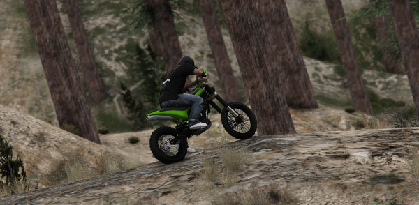 civdirtbike2.png