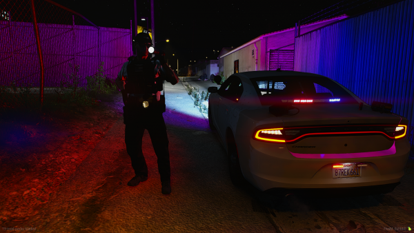 Los Santos Police Department