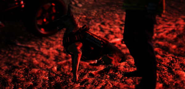 Screenshot (141).png
