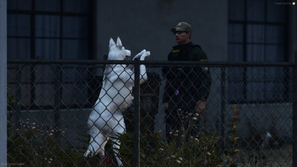 FiveM_GTAProcess 2025-10-19 22-00-06.png