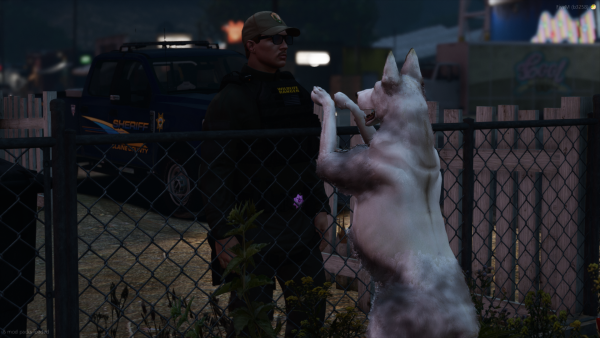 FiveM_GTAProcess 2025-10-19 21-59-44.png