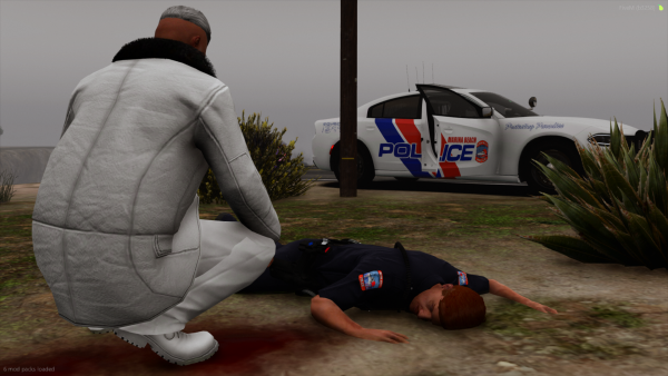 FiveM_GTAProcess 2025-11-21 18-12-35.png