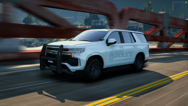 FiveM_GTAProcess 2025-11-08 15-55-03_585.png