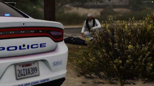 FiveM_GTAProcess 2025-11-21 18-12-53.png