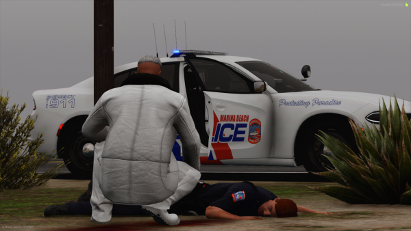 FiveM_GTAProcess 2025-11-21 18-14-14.png