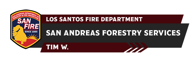 LSFD_Office_Banners_San_Fire.png